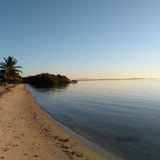 Foto da captura