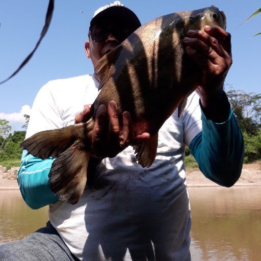 Foto da captura