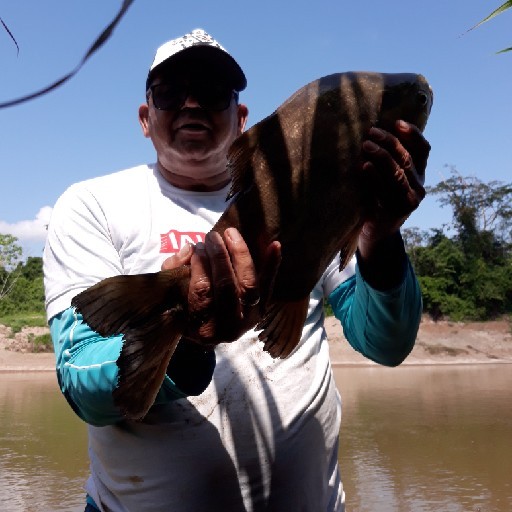 Foto da captura
