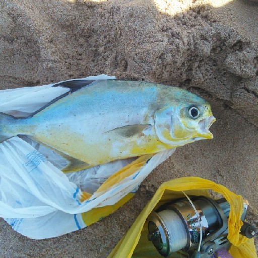 Foto da captura