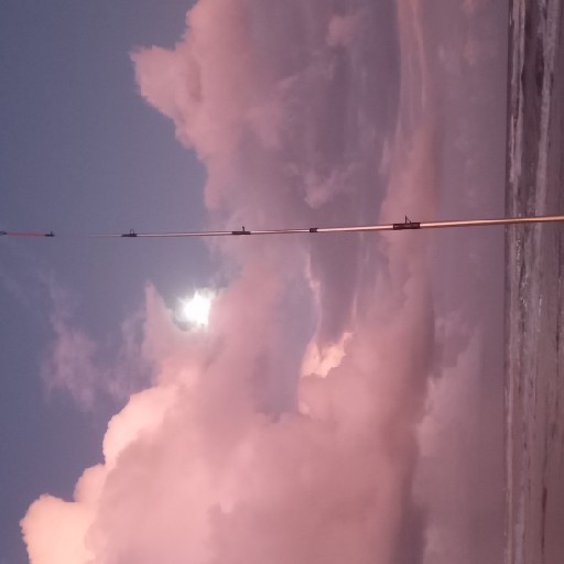 Foto da captura