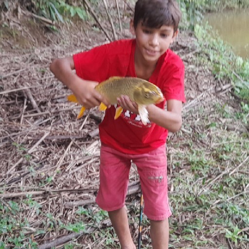 Foto da captura