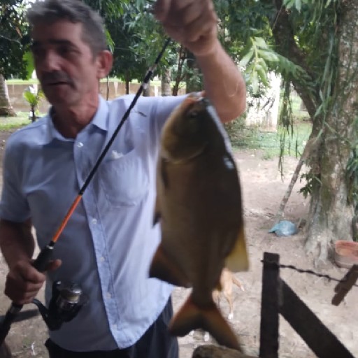 Foto da captura