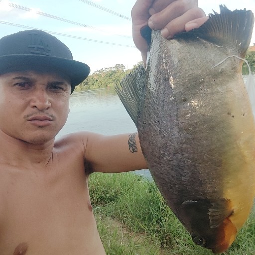 Foto da captura