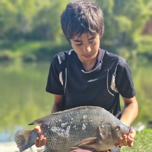 Foto da captura