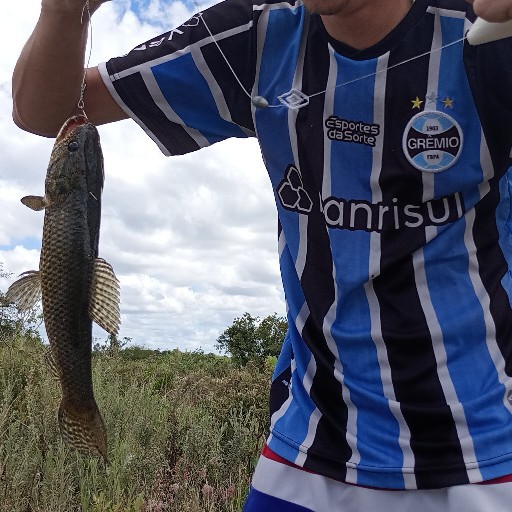 Foto da captura