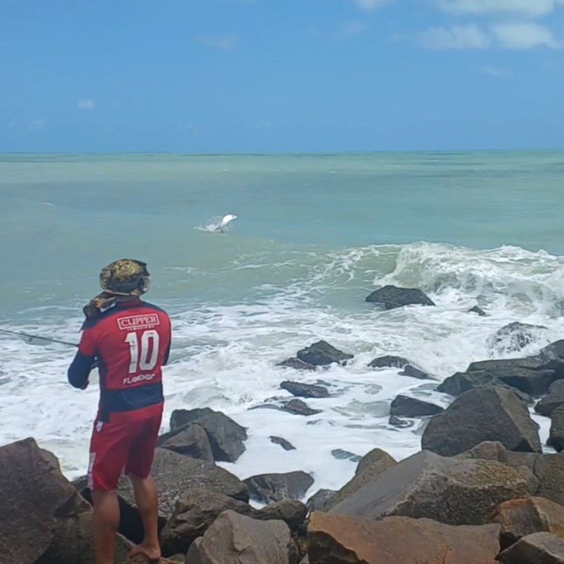 Foto da captura